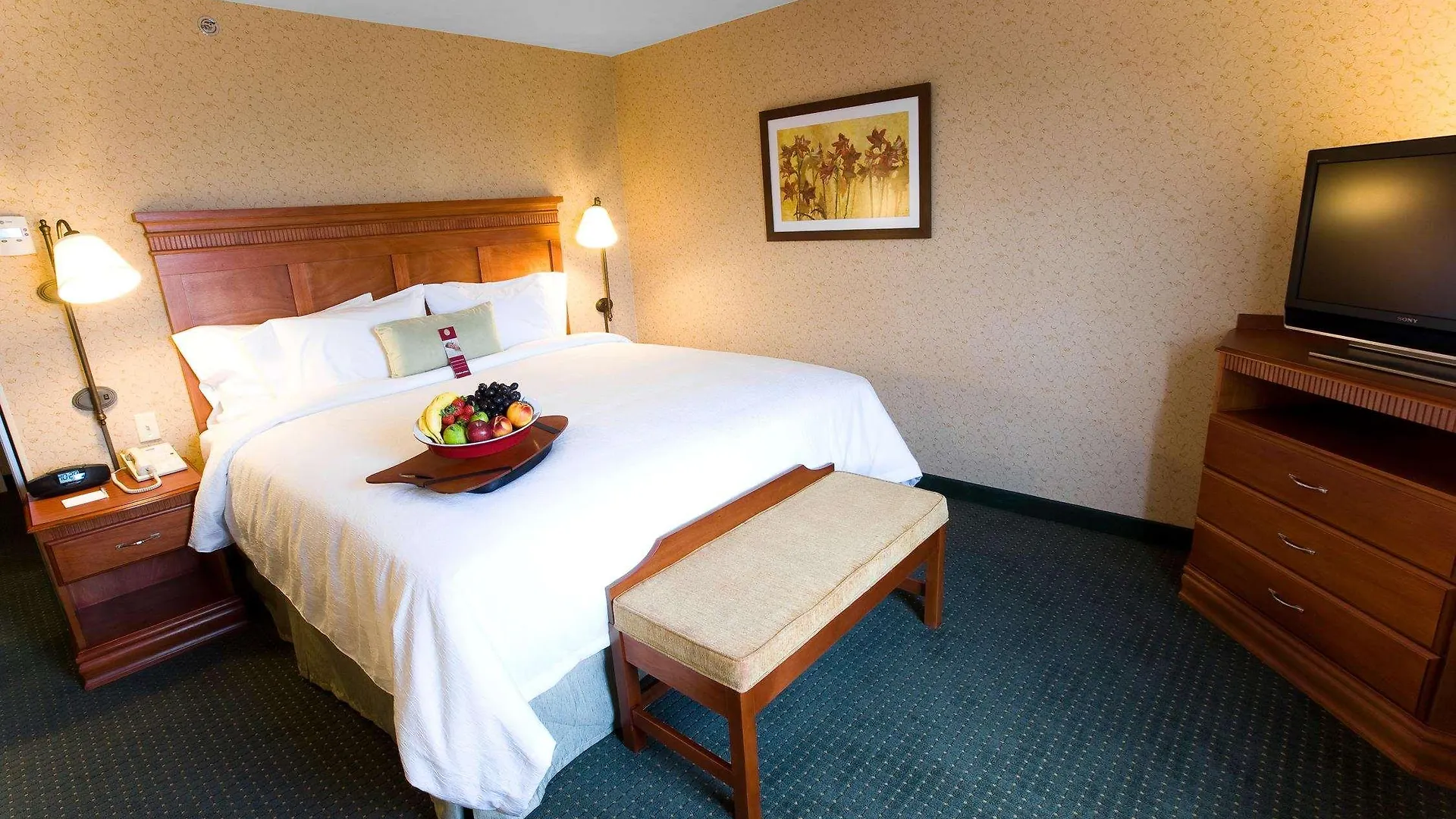 Hampton Inn By Hilton Guadalajara-Aeropuerto