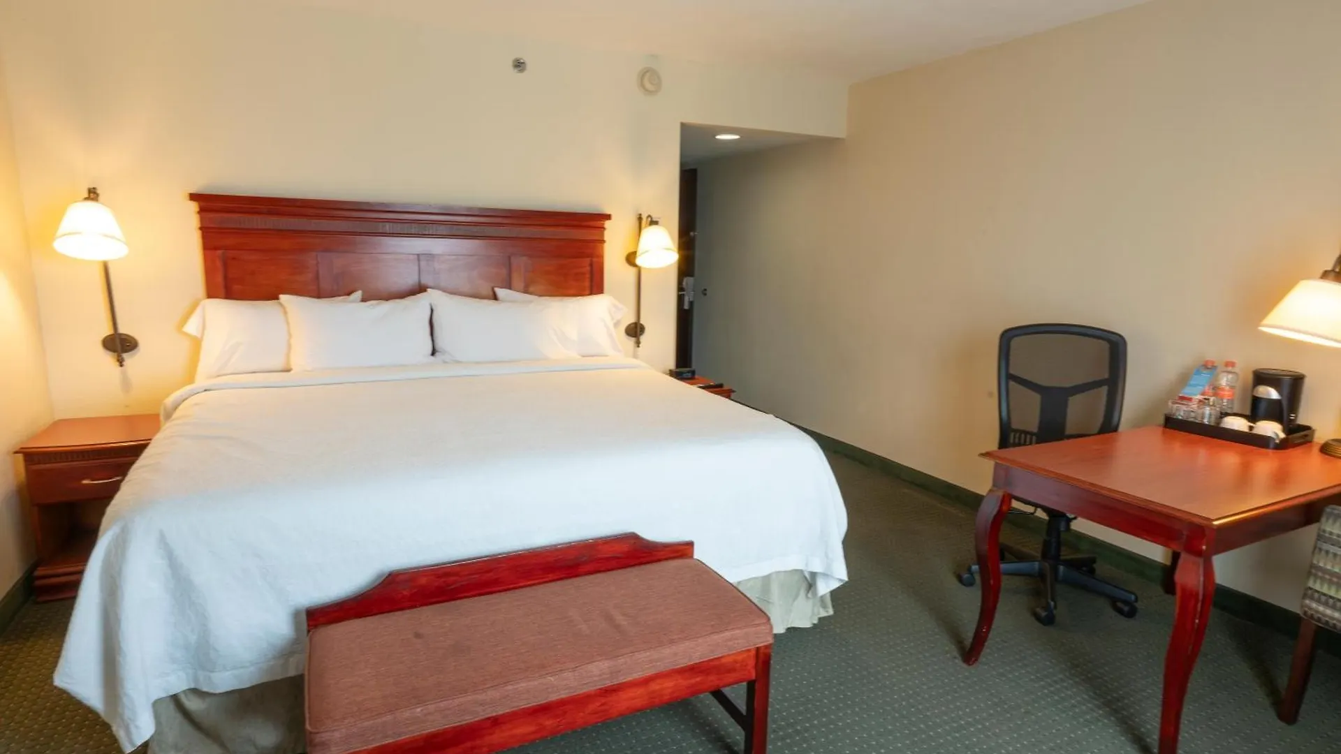 Hotel Hampton Inn By Hilton Guadalajara-Aeropuerto
