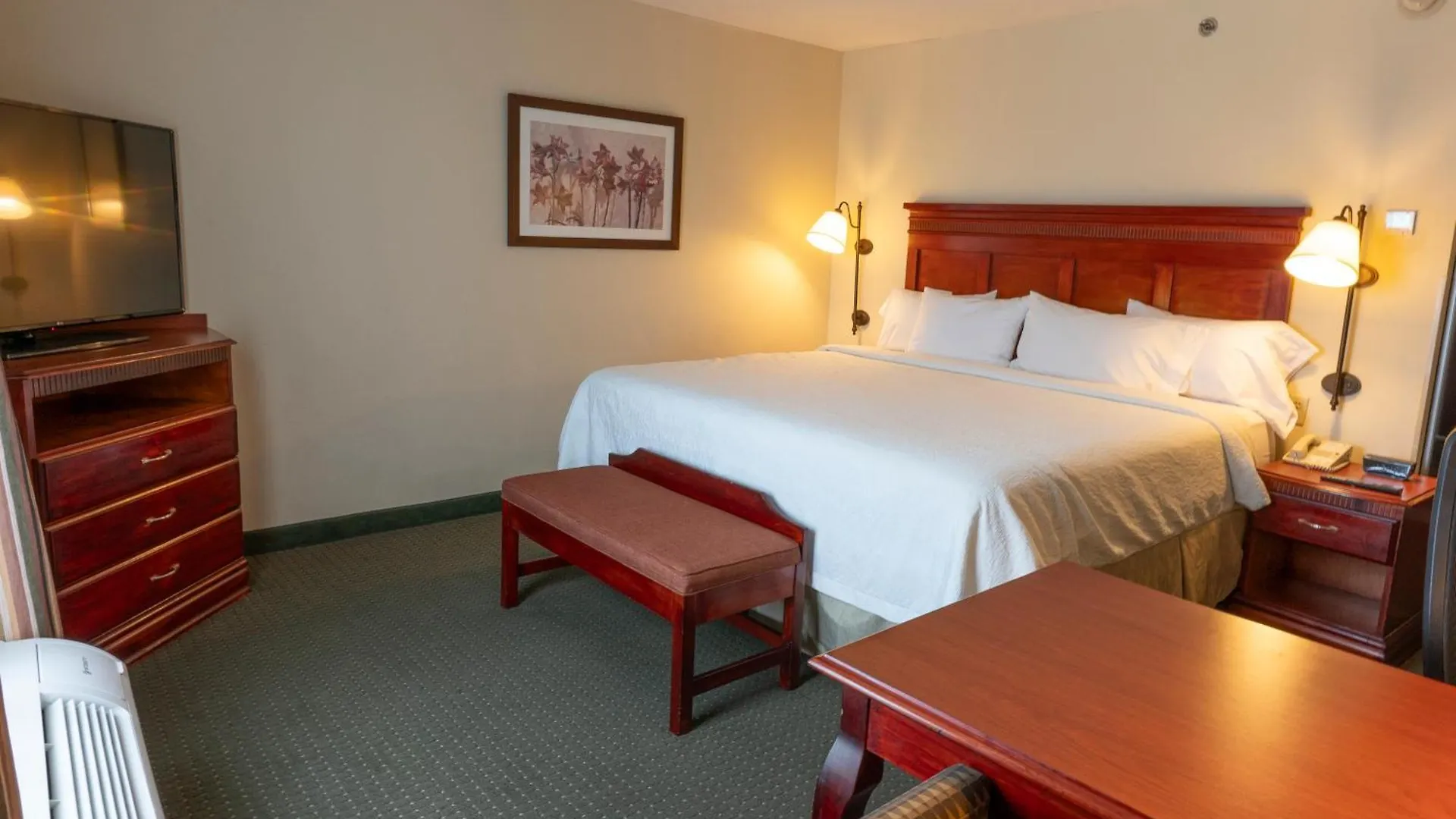 Hampton Inn By Hilton Guadalajara-Aeropuerto 3*, Guadalajara