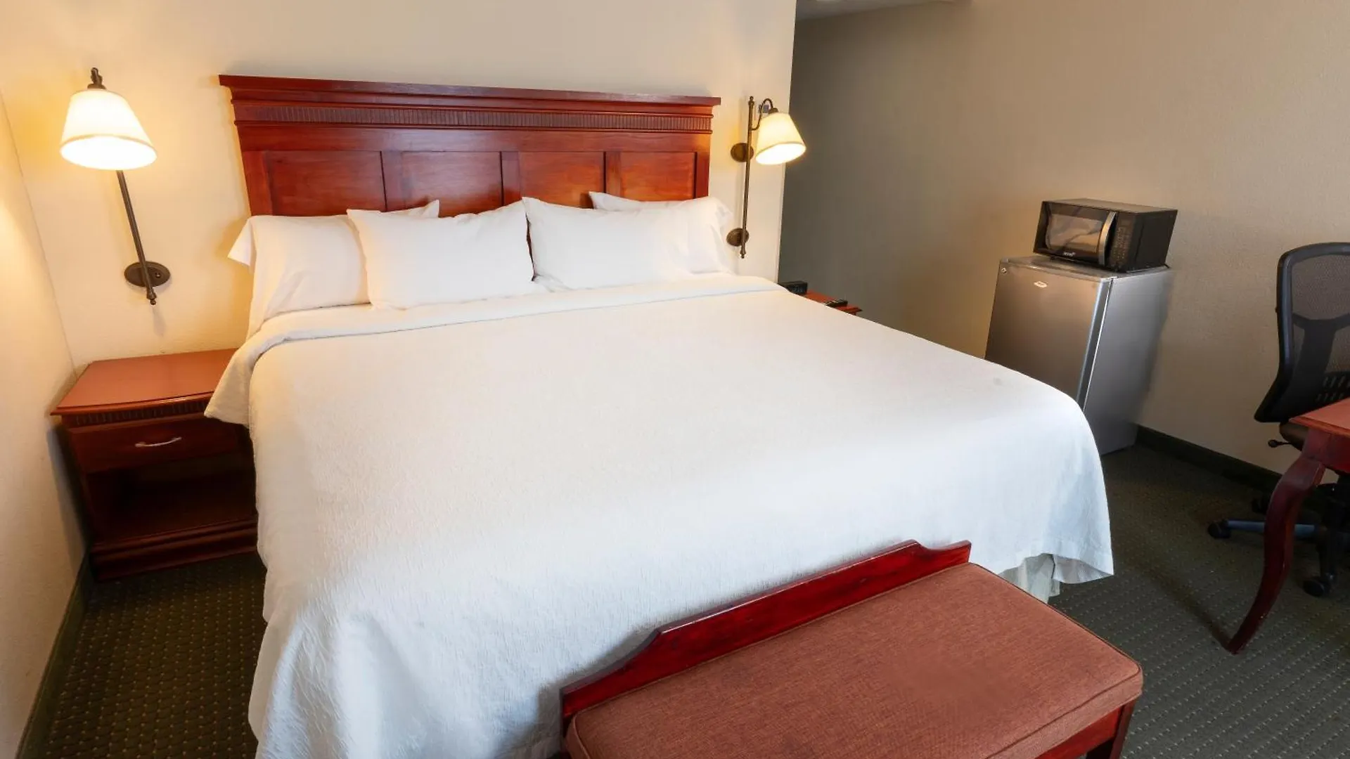 Hampton Inn By Hilton Guadalajara-Aeropuerto