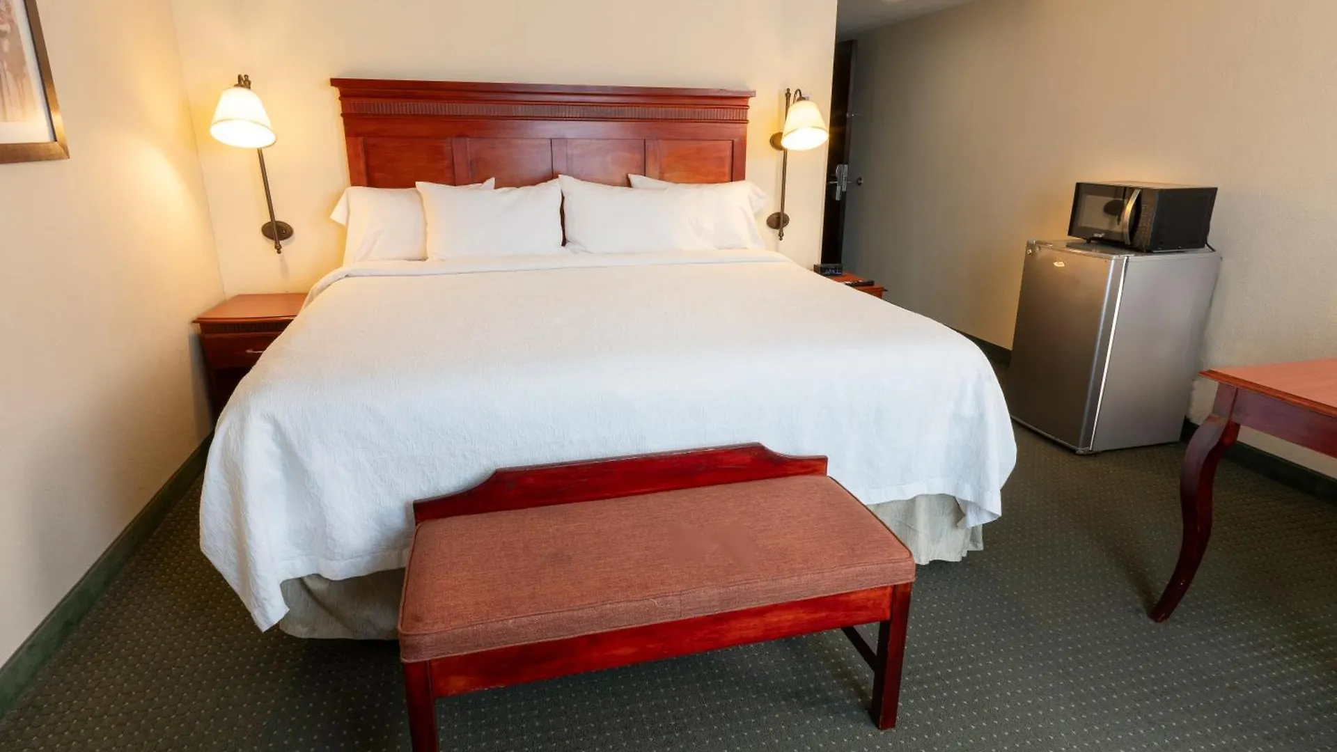 Hotel Hampton Inn By Hilton Guadalajara-Aeropuerto